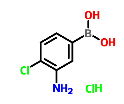 3-氨基-4-氯苯基硼酸鹽酸鹽