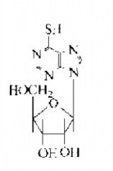巰基嘌吟核苷