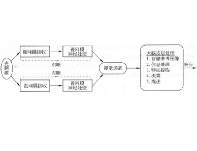 視覺過程流程圖