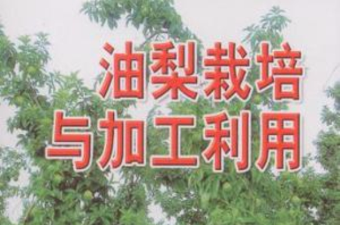 油梨栽培與加工利用