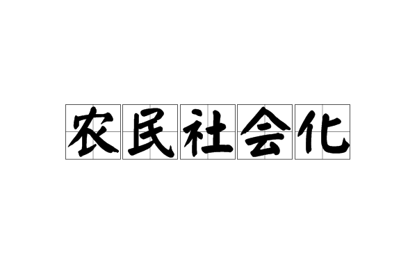 農民社會化