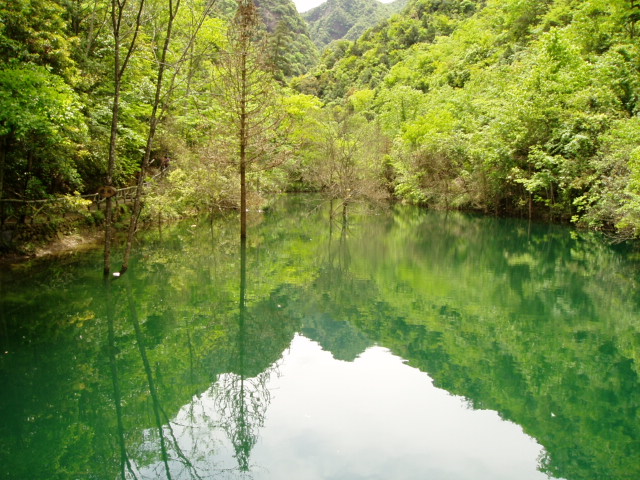 遂昌九龍山