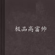 極品高富帥(櫻花墨小說)