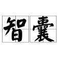 智囊(漢語詞語)