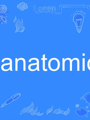 anatomic