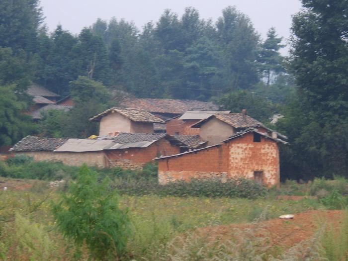 大梨樹村(雲南省宣威市熱水鎮大梨樹村)