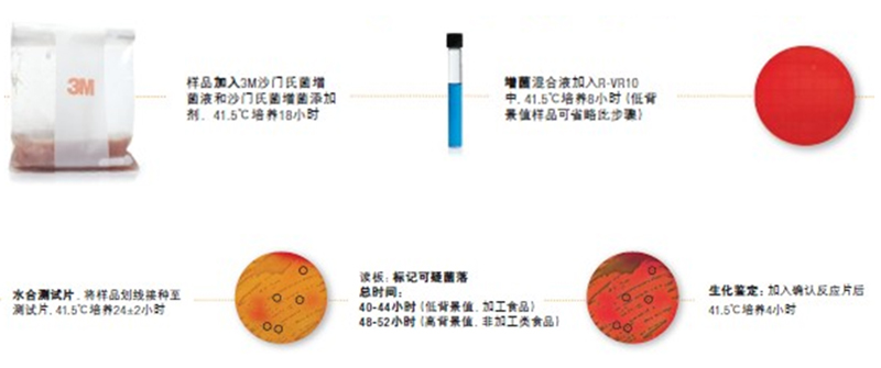 3MPetrifilmTM沙門氏菌測試片方法