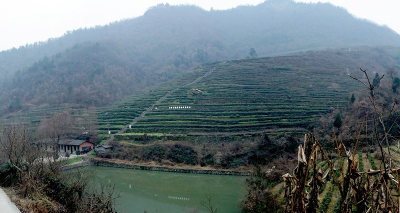 堰塘土家族鄉