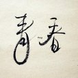 青春麥詞