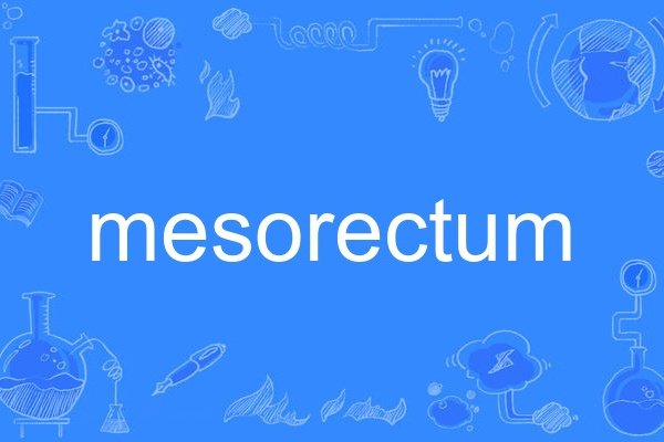 mesorectum