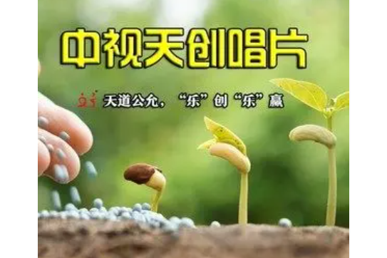 新年好(撒勇作詞的歌曲)