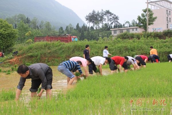 油溪村(浙江省開化縣張灣鄉下轄村)