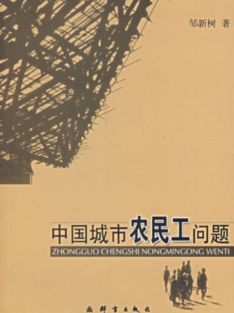 中國農民工問題研究(2006年群言出版社出版的圖書)