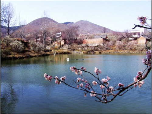 秋山原生態自然風景