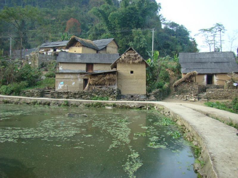 漁塘村(雲南省紅河州元陽縣小新街鄉下轄村)