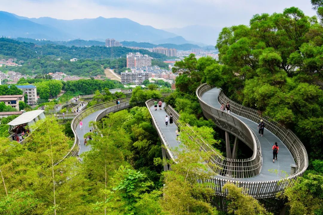 福道(福州市的森林步道)