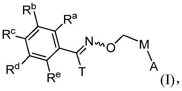 肟類衍生物及其在農業中套用