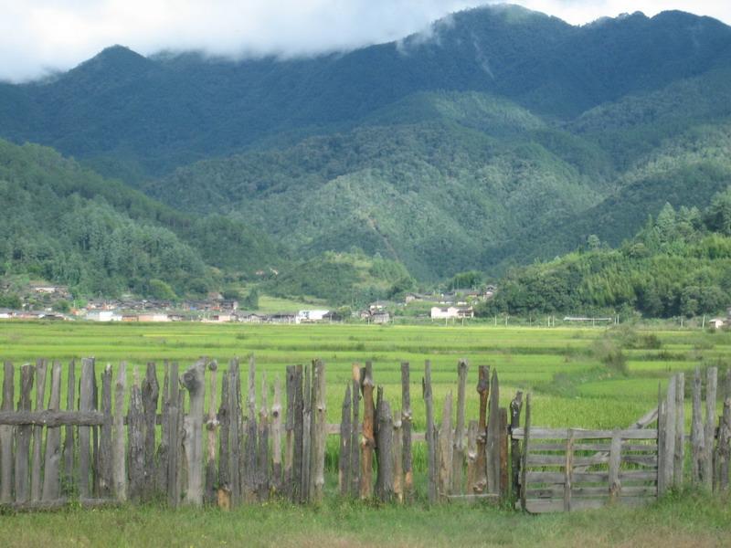 楊家寨自然村(騰衝縣猴橋鎮楊家寨自然村)