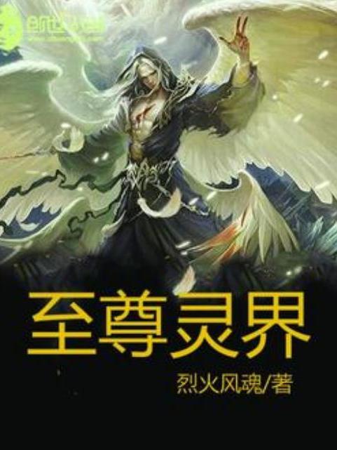 至尊靈界(烈火風魂所著小說)