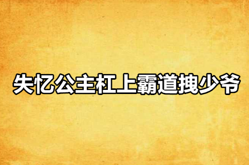 失憶公主槓上霸道拽少爺