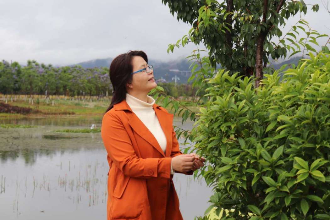 李璐(西南林業大學，植物學老師)