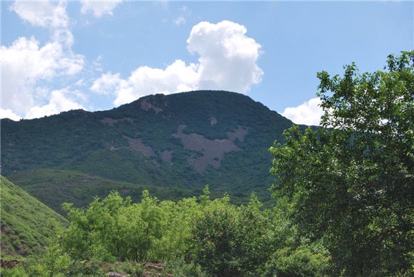 馮杖子村(遼寧省朝陽市凌源市大王杖子鄉馮杖子村)