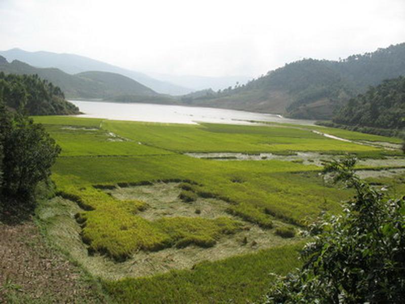 村中田園