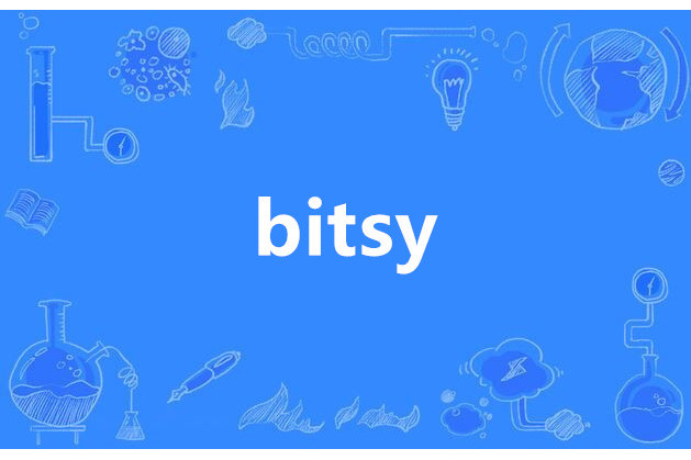 bitsy