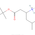 叔丁基(3R)-3-氨基-5-甲基己酸鹽