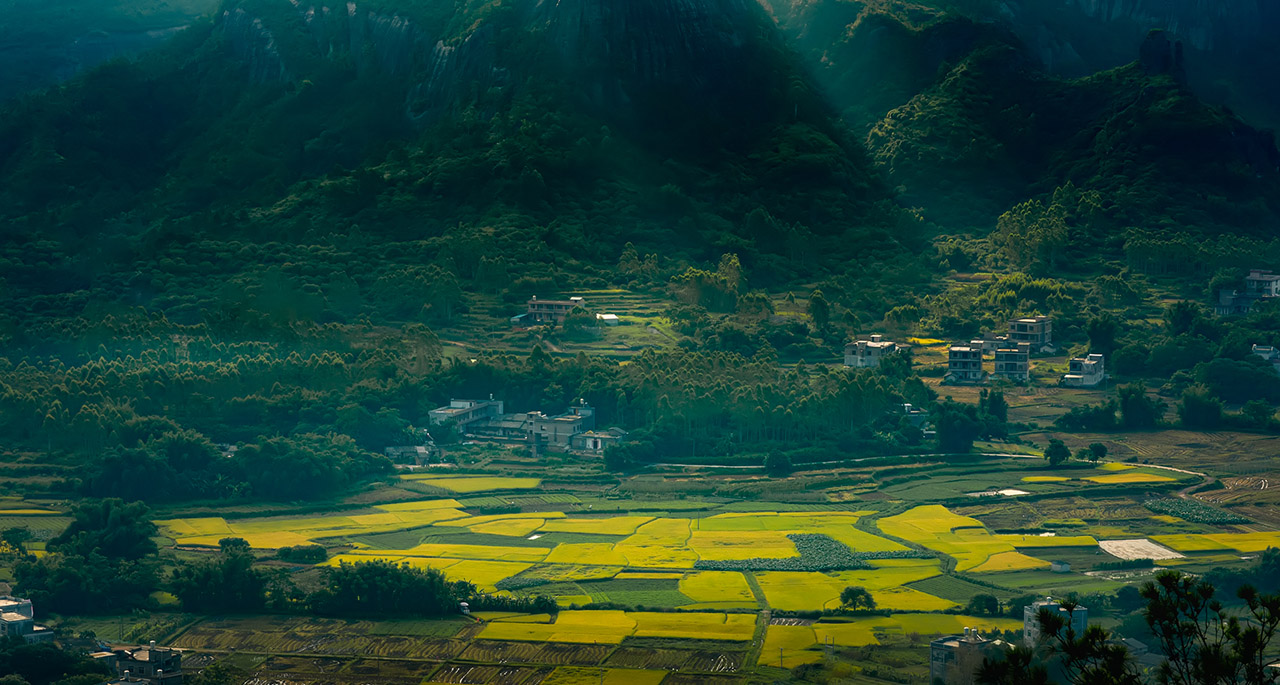 大容山林場