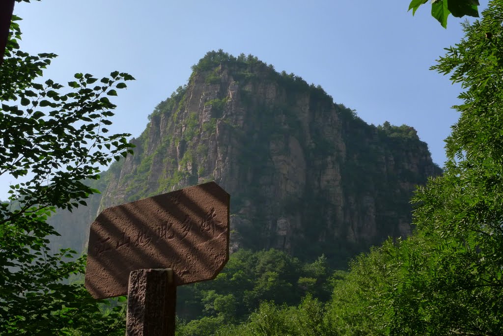 南坪村(福建省安溪縣城廂鎮南坪村)