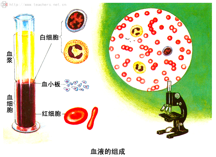 血液粘稠高