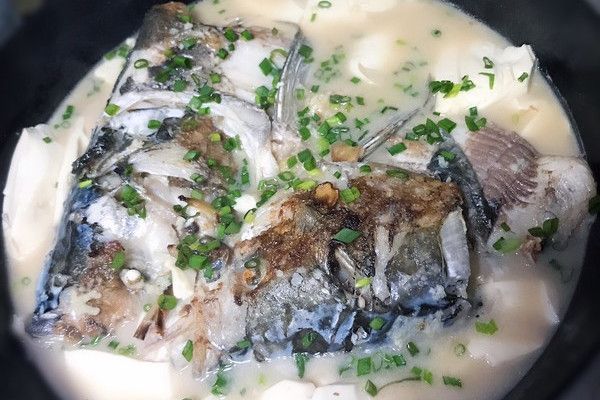 海藻魚頭豆腐湯