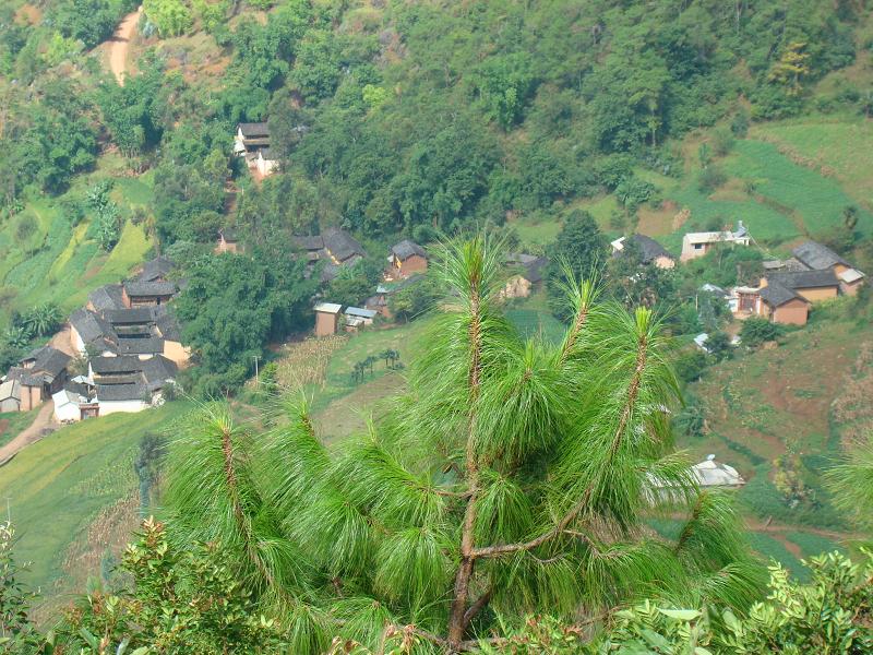 糖房自然村(太平鎮下壩村委會下轄自然村)