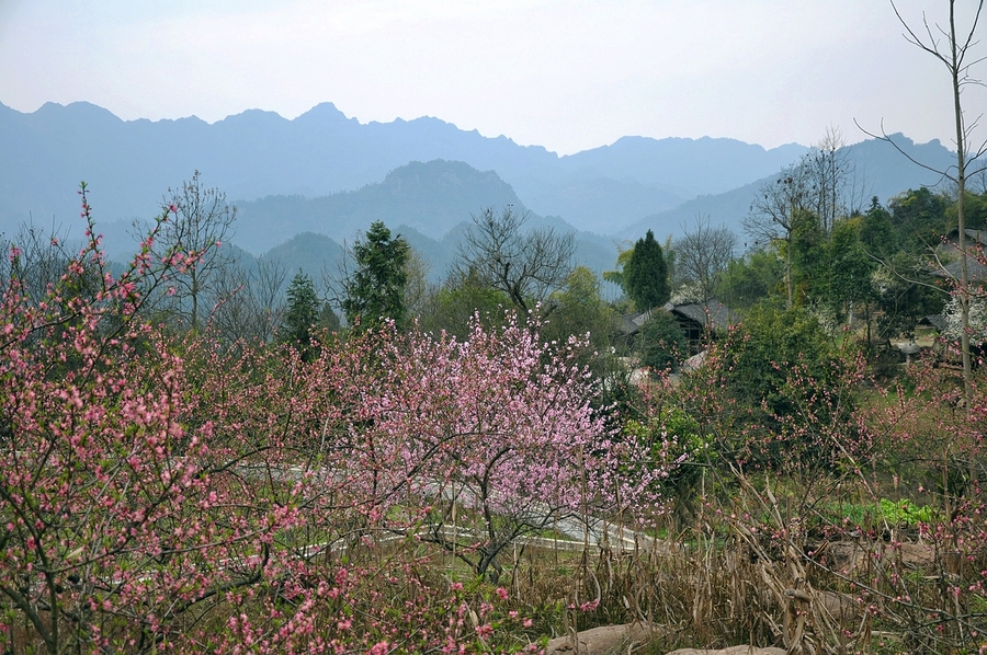 隴木洞村