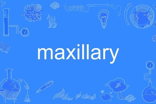 maxillary