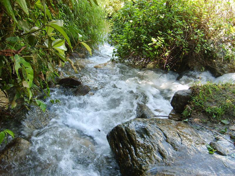 響水自然村(雲南普洱景東縣錦屏鎮溫卜村委會響水自然村)