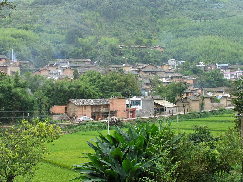 東山村(浙江永嘉縣橋下鎮下轄村)