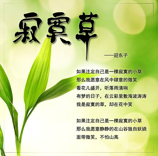 寂寞草(迎東子詩歌)