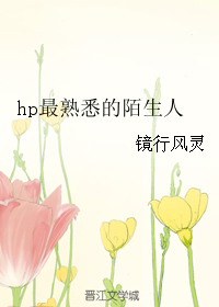 hp最熟悉的陌生人