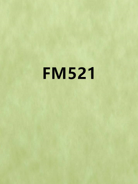 FM521