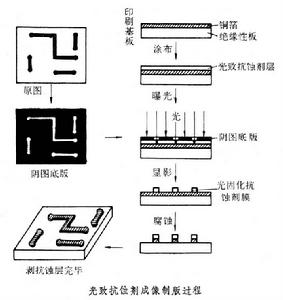 龜紋