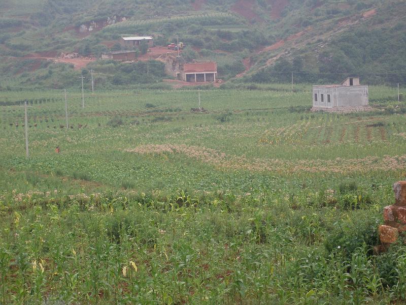 長沖中村耕地