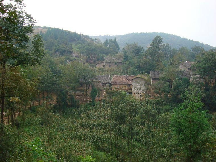 老林自然村(角奎鎮花橋行政村下轄自然村)