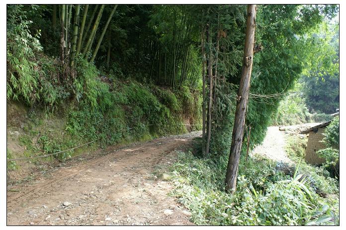 何下寨自然村通村道路