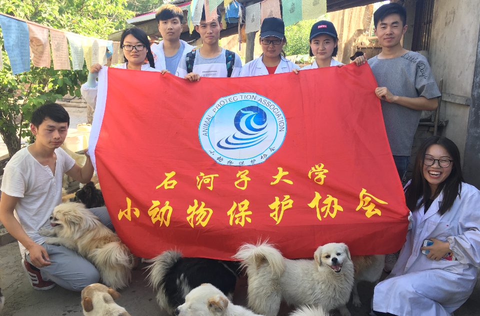 石河子大學小動物保護協會