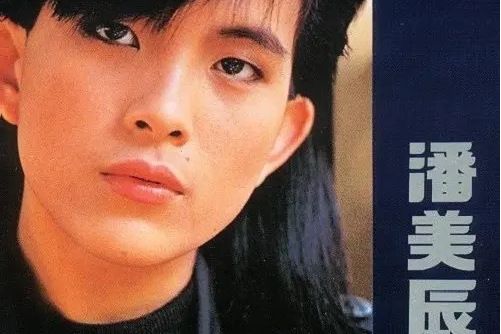 是你(1989年潘美辰發行的音樂專輯)