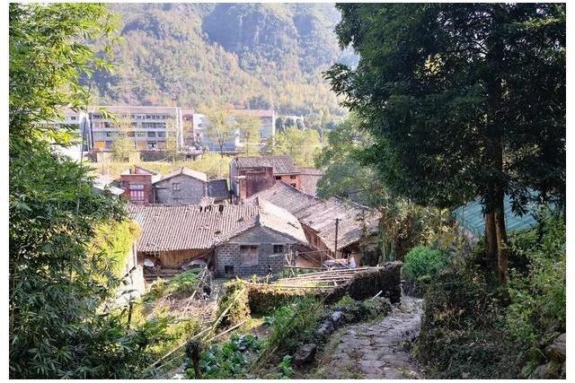 三興村(陝西省西安市周至縣陳河鎮下轄村)