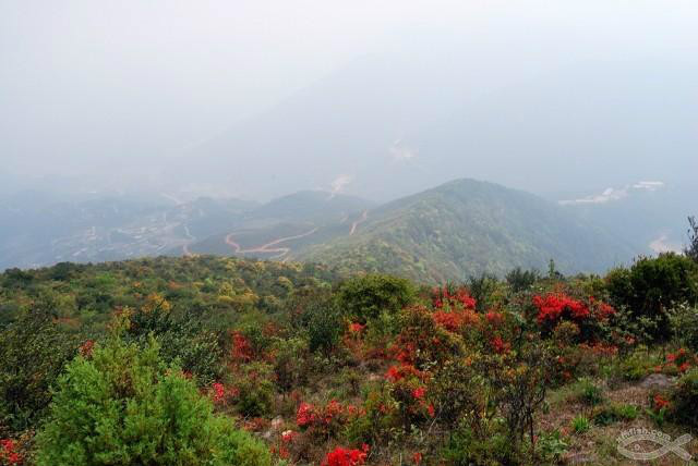 黃巢山脈