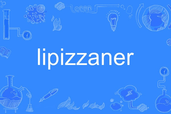 lipizzaner